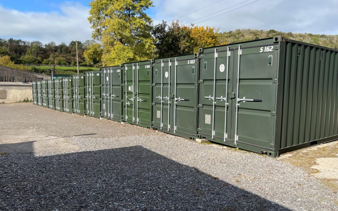 Why Is Climate-Controlled Self Storage Important for Certain Belongings?